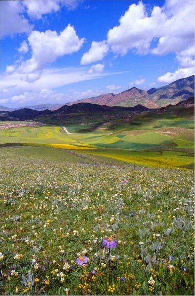 beatufifulpicturebeautyofTibet.jpg