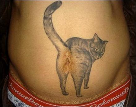 The Cat Butt Tattoo funny picture See more funny pictures