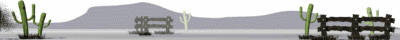 tumbleweed_divider_md_wht.gif